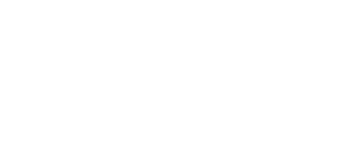 Experienced with WordPress